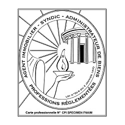 2-mis-immobilier-partenaire-embleme-vesta-agent-bien